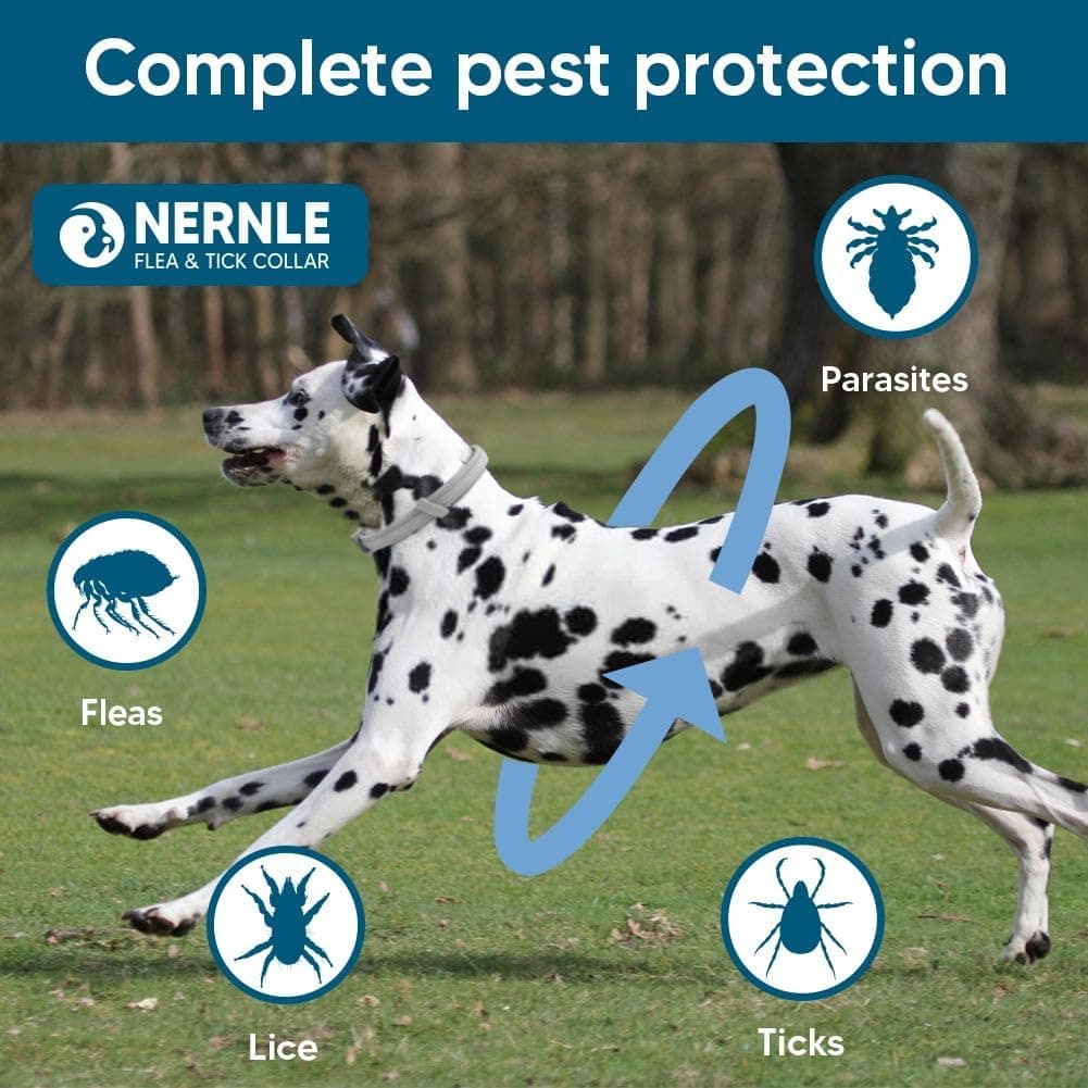 Nernle Collar Perros Grandes, Ajustable Collar Perros, Collar Perro Grande, 8 Meses de Protección Impermeable para 2 PCS