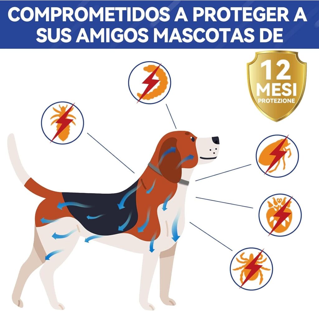 Collar Antiparasitario Perros, Seguro y Eficaz Antipulgas Hecho de Aceites Esenciales 100%, de 12 Meses de Eficacia de Todos Los Tamaños