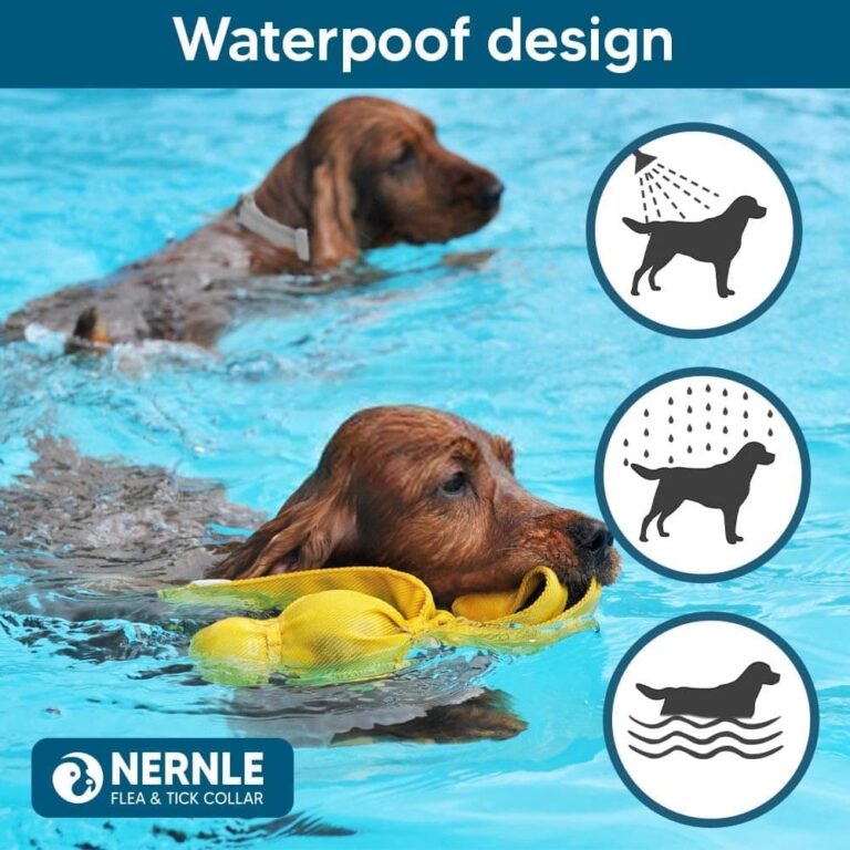 Nernle Collar Perros Grandes, Ajustable Collar Perros, Collar Perro Grande, 8 Meses de Protección Impermeable para 2 PCS