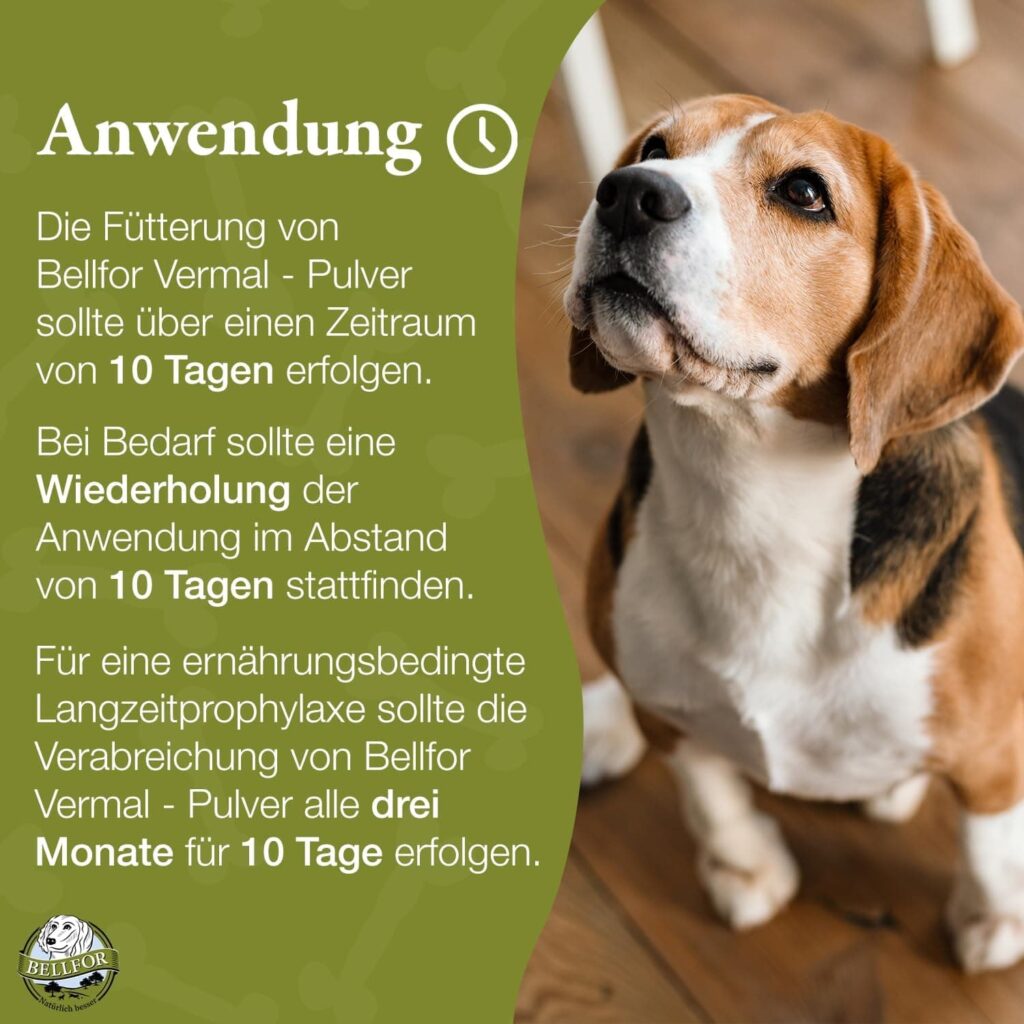 Suplementos para Perros Vermal de Bellfor - 80 g. Antiparasitario Natural con Harina de Coco y Semillas de Calabaza, Ayuda contra la Giardia, Previene Parasitosis, Fortalece el Sistema Inmune