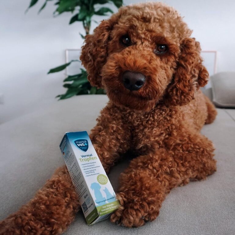 Marsavet+ Vermal Gotas 50 ml – Solución Natural para un Entorno intestinal desfavorable a los Gusanos, Ayuda contra giardia, remedio para Perros, Gatos y roedores