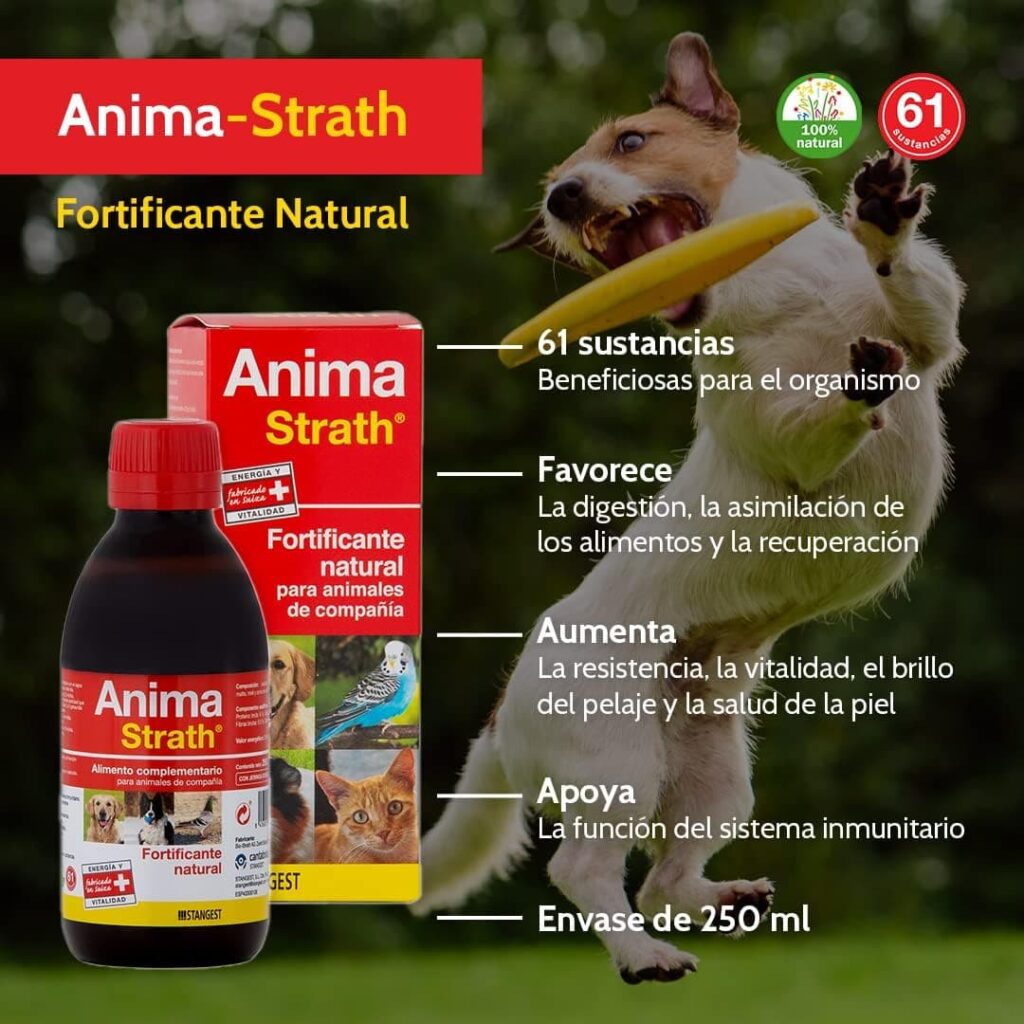 STANGEST Anima-Strath Suplemento Nutricional para Animales de compañía, Fortificante Natural con Levadura de Cerveza, Malta, Miel y Zumo de Naranja, Apoya Sistema Inmune 250 ml Blanco