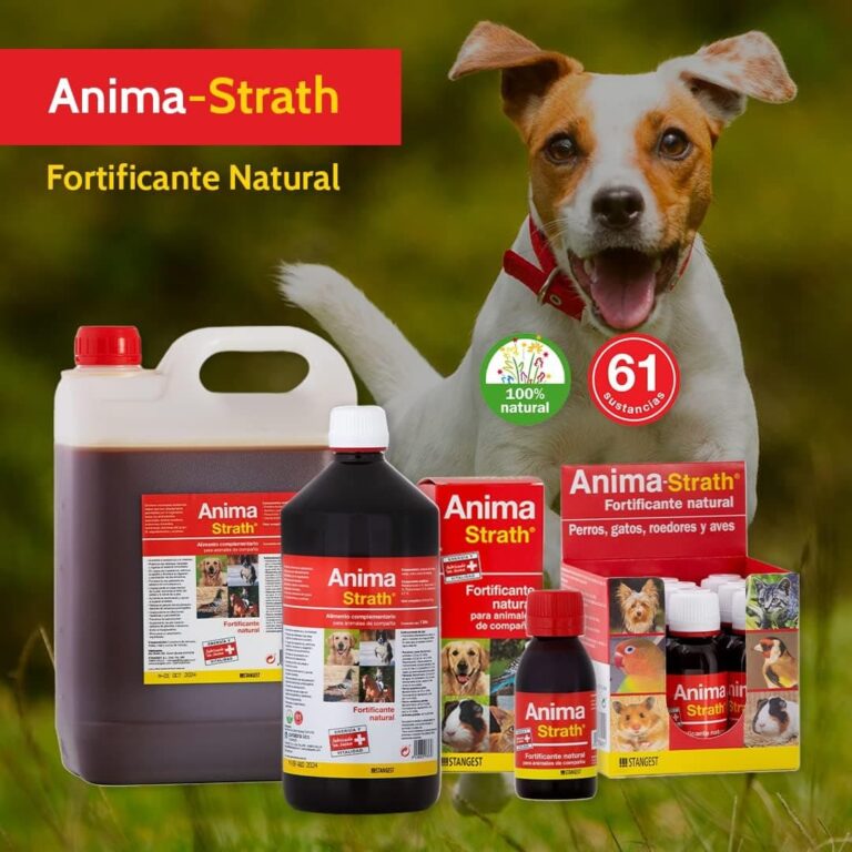 STANGEST Anima-Strath Suplemento Nutricional para Animales de compañía, Fortificante Natural con Levadura de Cerveza, Malta, Miel y Zumo de Naranja, Apoya Sistema Inmune 250 ml Blanco