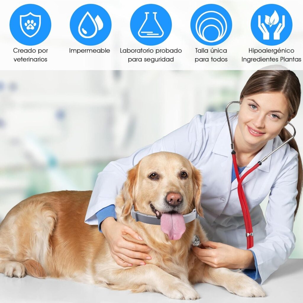 Collar Antiparasitos Perros Natural Repelente Frente a Pulgas,Garrapatas y Mosquitos,Tamaño Ajustable e Impermeable para Mascota Pequeño Mediano Grandes