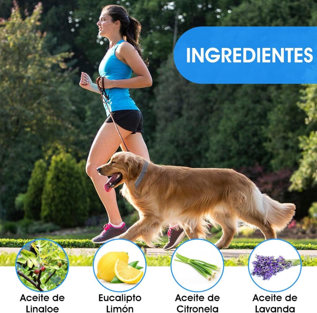 Collar Antiparasitos Perros Natural Repelente Frente a Pulgas,Garrapatas y Mosquitos,Tamaño Ajustable e Impermeable para Mascota Pequeño Mediano Grandes
