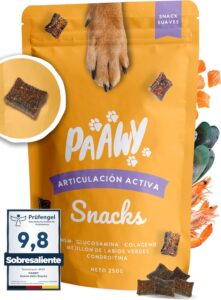 Paawy Condroprotector Perros con Glucosamina, Condroitina, MSM I para Las Articulaciones de Perros I Antiinflamatorio para Perros Artrosis I Joint Care for Dogs I 250g Salmón
