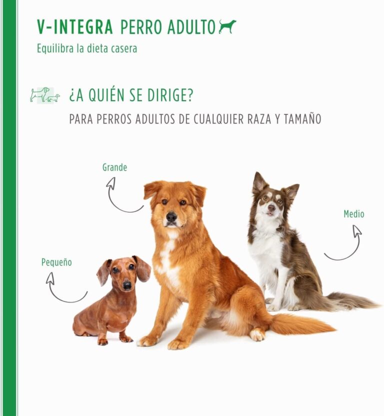 V-INTEGRA Cane Adulto (Perro Adulto) - Suplemento Completo Rico en vitaminas y minerales para la Dieta casera y Barf de los Perros - 200g - Made in Italy