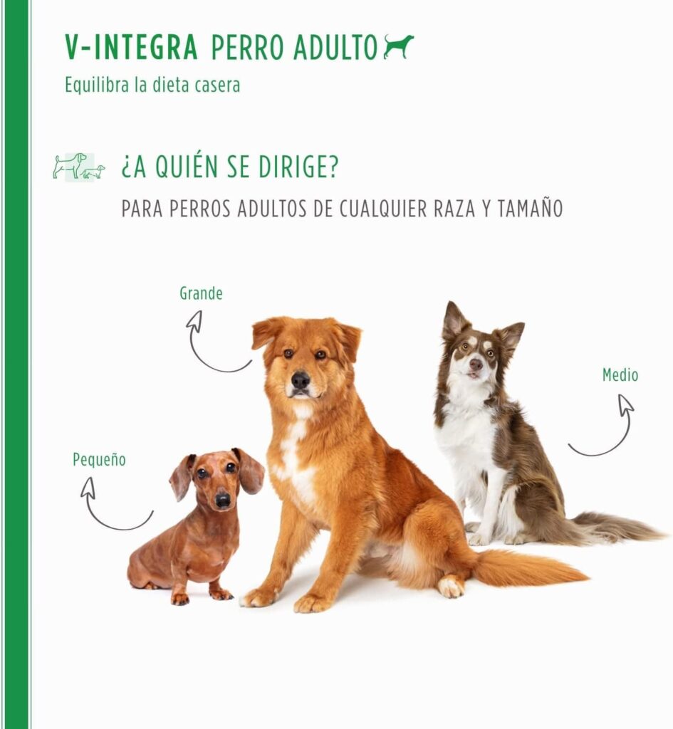 V-INTEGRA Cane Adulto (Perro Adulto) - Suplemento Completo Rico en vitaminas y minerales para la Dieta casera y Barf de los Perros - 200g - Made in Italy