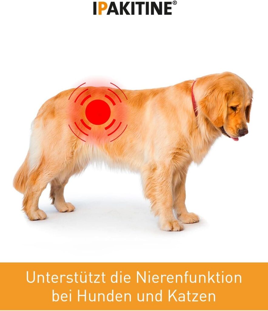 Vetoquinol 009292 Ipakitine - 300 gr