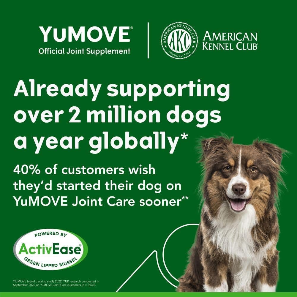 YuMOVE Comprimidos para perros adultos