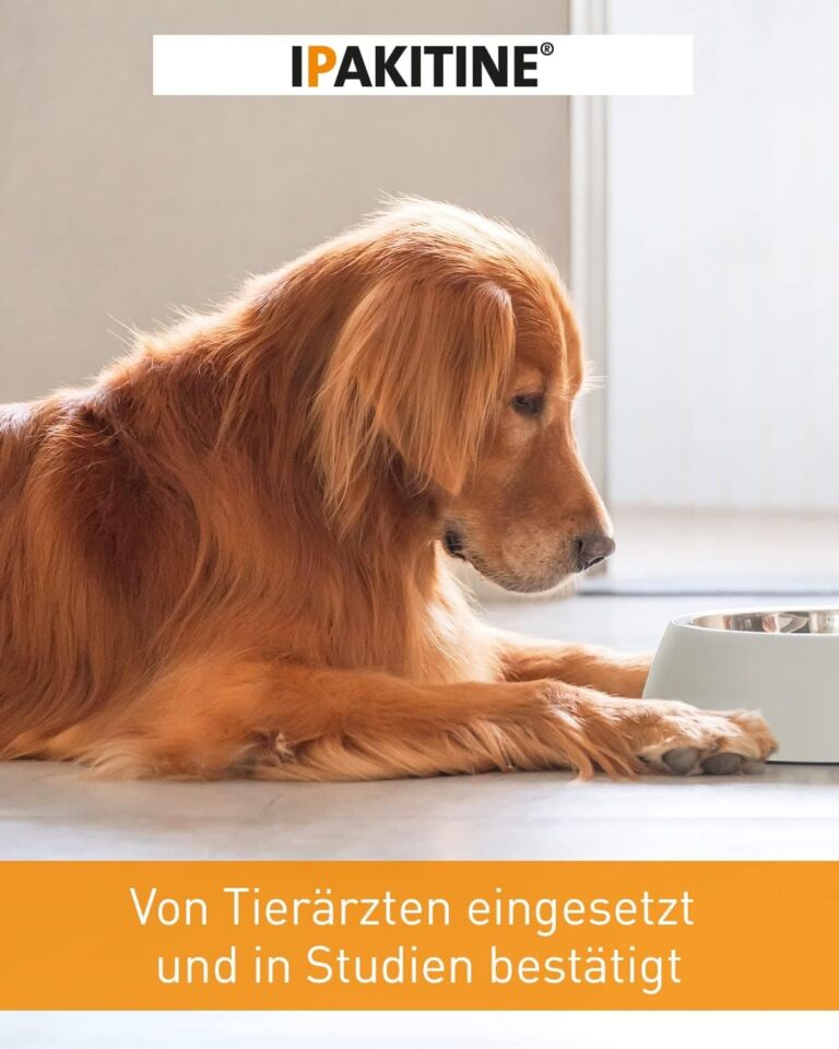 Vetoquinol 009292 Ipakitine - 300 gr