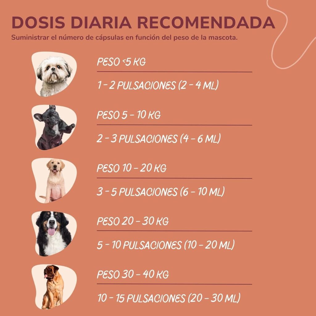 Lamina Care - Aceite De Salmon Perros y Gatos Enriquecido con Omega 3 y 6, EPA y DHA, Fórmula Avanzada Natural para Articulaciones Fuertes, Piel Sana y Pelaje Brillante (1000ml)