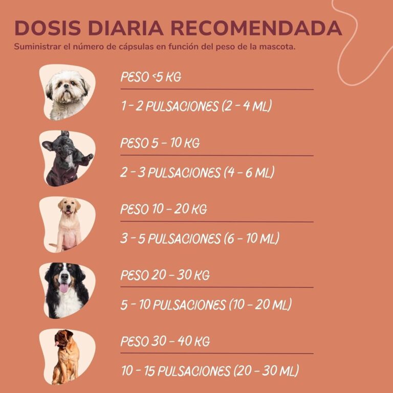 Lamina Care - Aceite De Salmon Perros y Gatos Enriquecido con Omega 3 y 6, EPA y DHA, Fórmula Avanzada Natural para Articulaciones Fuertes, Piel Sana y Pelaje Brillante (1000ml)