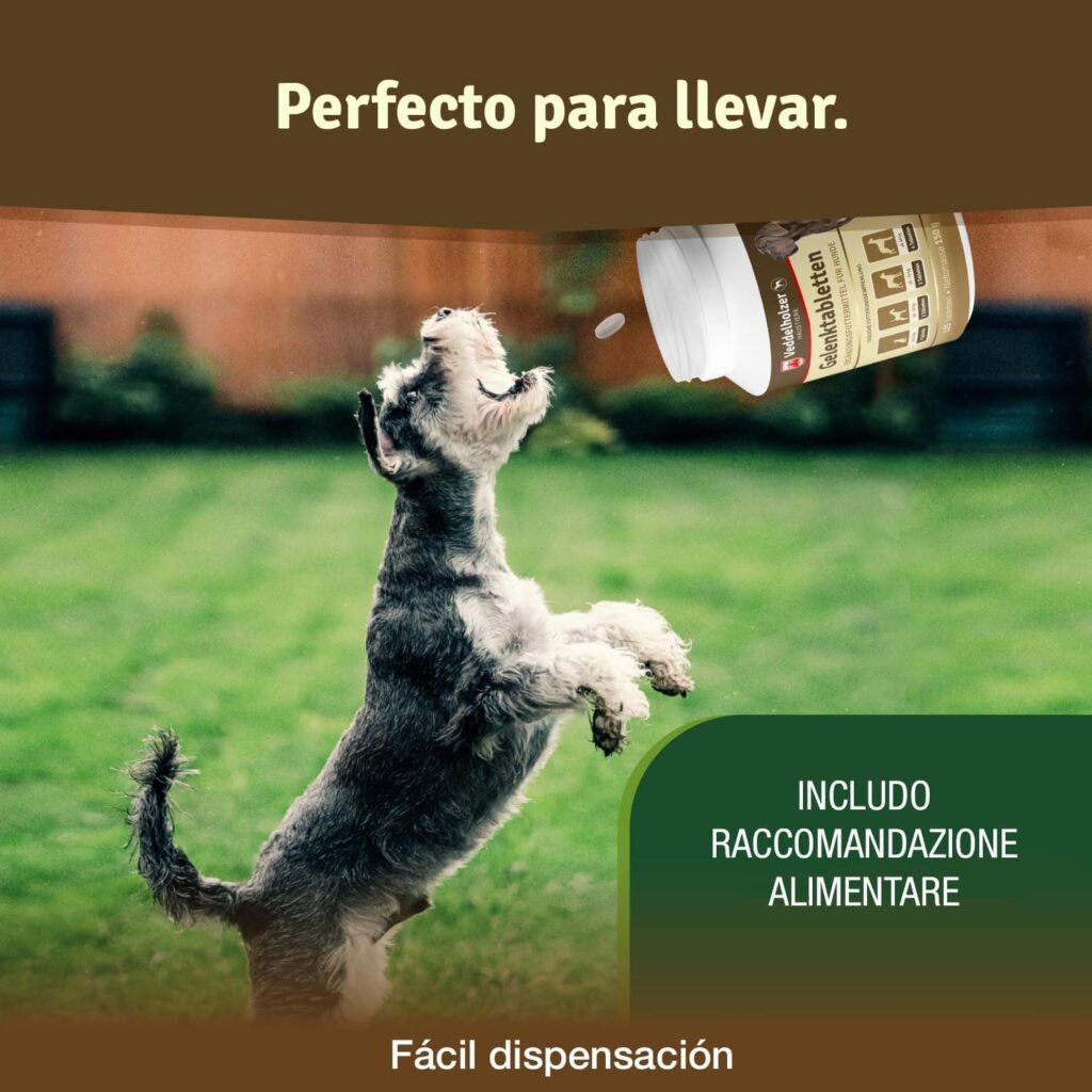 Los comprimidos condroprotector perros para articulaciones Veddelholzer con MSM, harpagófito glucosamina colágeno para fortalecer los huesos, fabricadas en Alemania, 125 cápsulas con hialurón y Omega3
