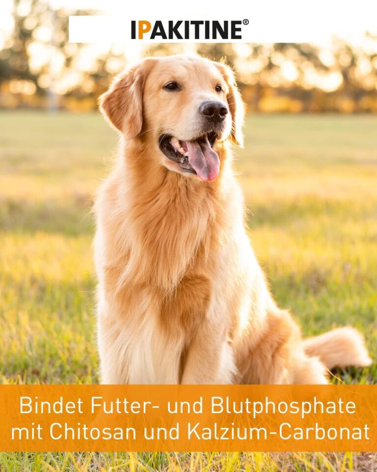 Vetoquinol 009292 Ipakitine - 300 gr