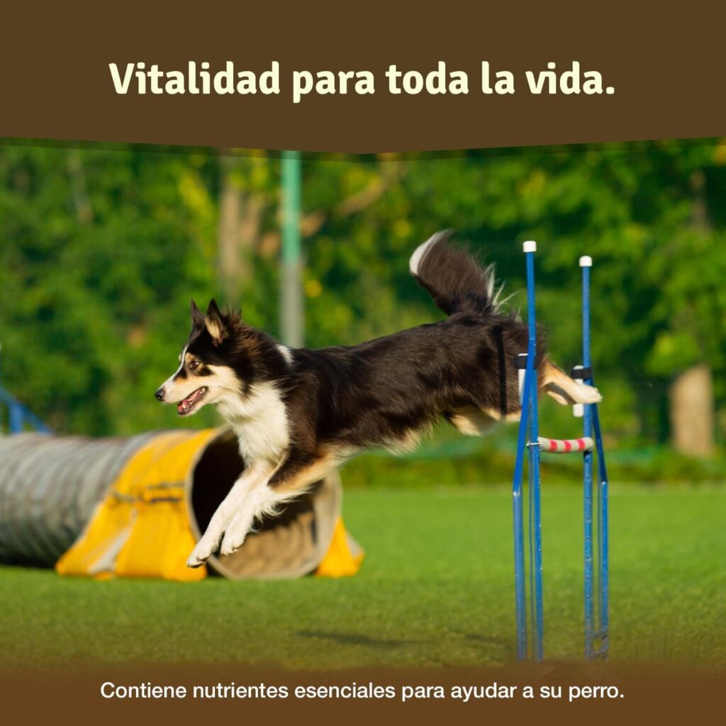 Los comprimidos condroprotector perros para articulaciones Veddelholzer con MSM, harpagófito glucosamina colágeno para fortalecer los huesos, fabricadas en Alemania, 125 cápsulas con hialurón y Omega3