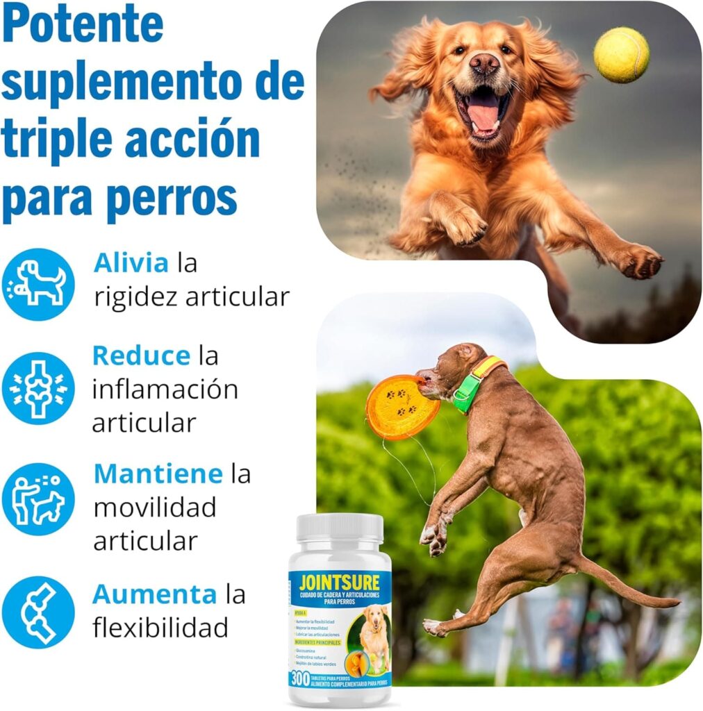 JOINTSURE Condroprotector Perros I con gran concentración de mejillon labios verdes, glucosamina y condroitina natural I suplemento antiinflamatorio para articulaciones I 120 comprimidos