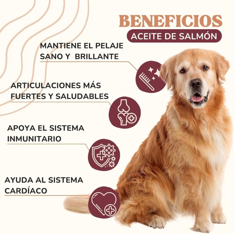 Lamina Care - Aceite De Salmon Perros y Gatos Enriquecido con Omega 3 y 6, EPA y DHA, Fórmula Avanzada Natural para Articulaciones Fuertes, Piel Sana y Pelaje Brillante (1000ml)