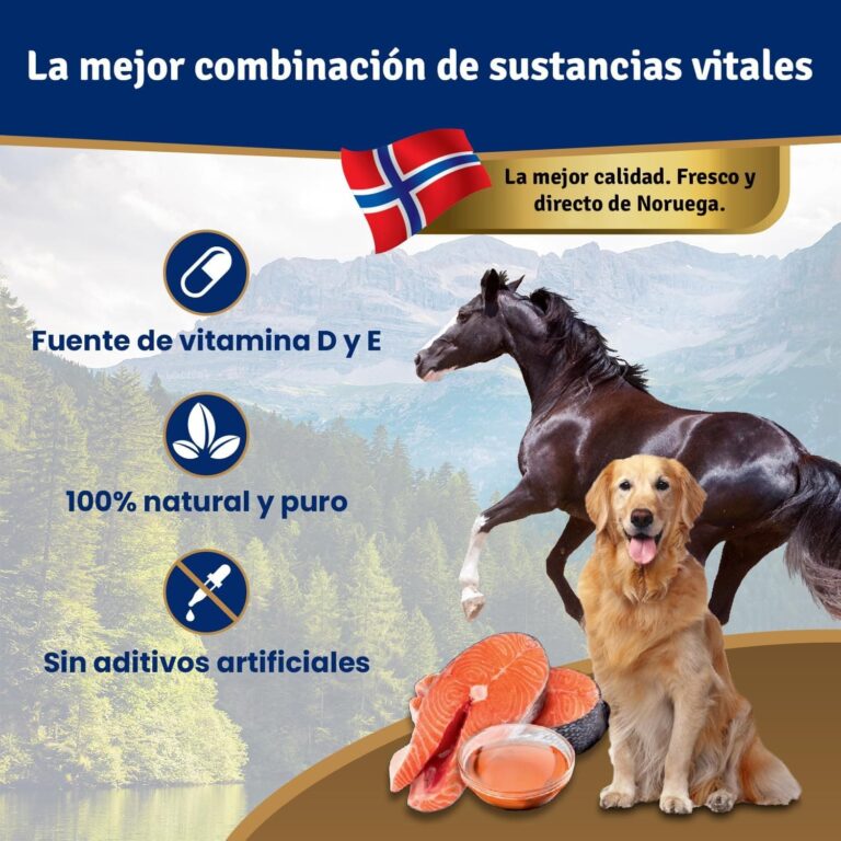Veddelholzer Aceite de salmón para Perros 1 litro en Lata reciclable Cuidado Ideal del Pelaje Bueno para los Huesos y el Sistema inmunitario con ácidos grasos Omega3 y Vitamina E