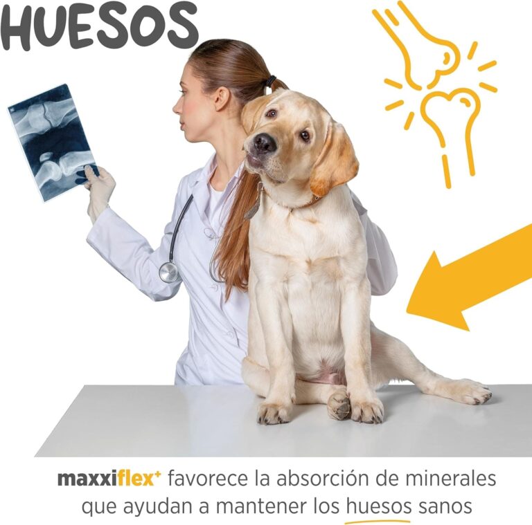 maxxipaws maxxiflex+ Caderas y Articulaciones - Suplemento Condroprotector para Perros Adultos - 120 Comprimidos