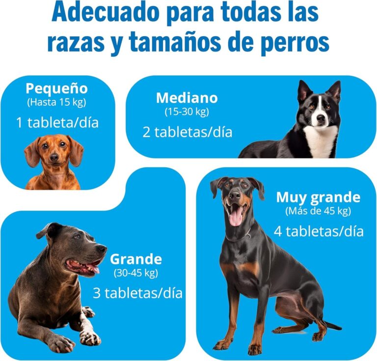 JOINTSURE Condroprotector Perros I con gran concentración de mejillon labios verdes, glucosamina y condroitina natural I suplemento antiinflamatorio para articulaciones I 120 comprimidos