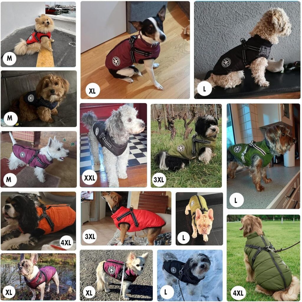 Chaqueta de Invierno para Perros a Prueba de Viento Impermeable 2 en 1 Abrigo para Clima frío Chaleco para Perros arnés Cachorro Chaqueta cálida de Invierno,Azul,XXL