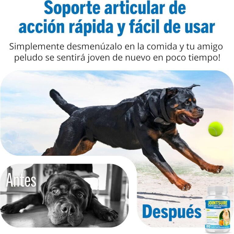 JOINTSURE Condroprotector Perros I con gran concentración de mejillon labios verdes, glucosamina y condroitina natural I suplemento antiinflamatorio para articulaciones I 120 comprimidos