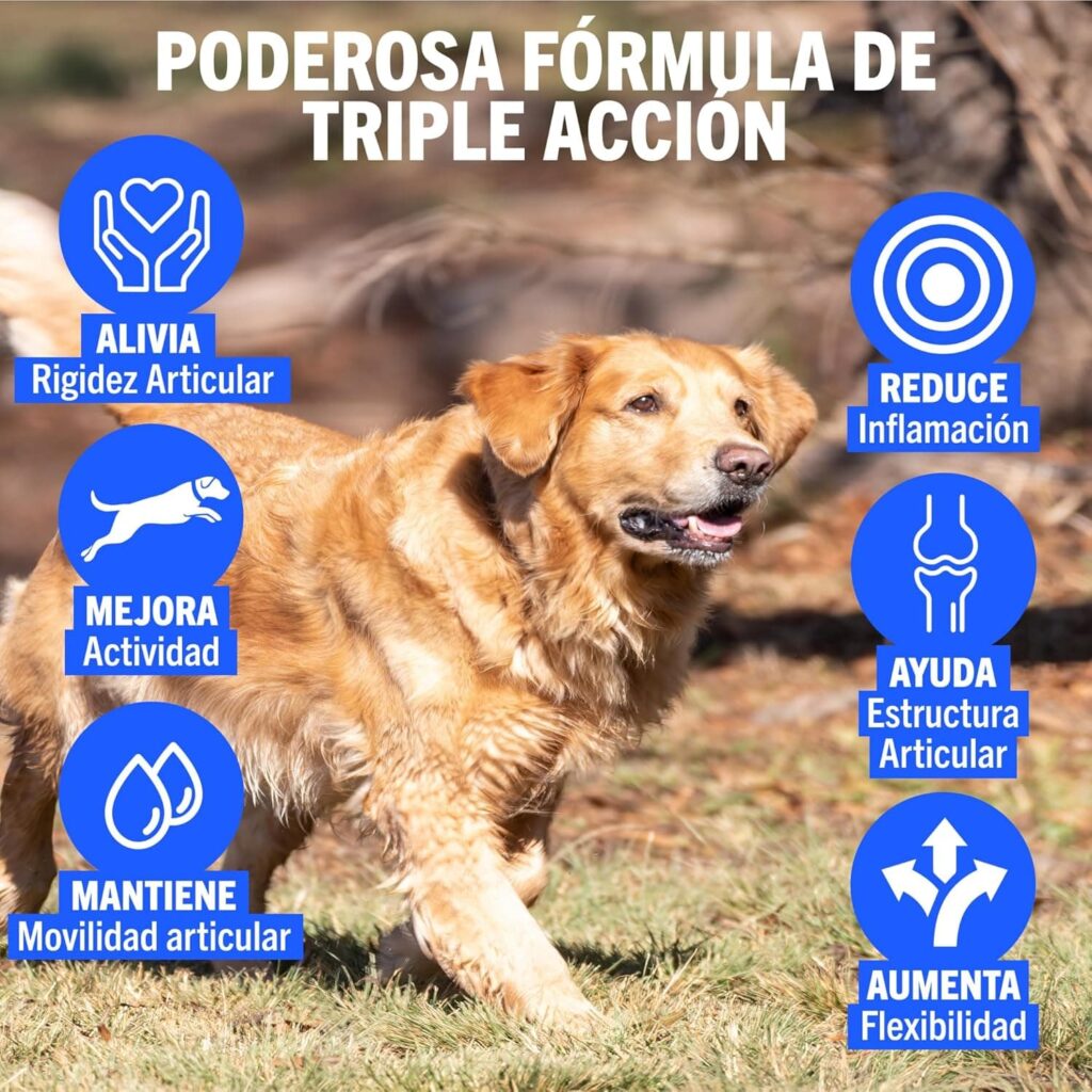 JOINTSURE Condroprotector Perros I con gran concentración de mejillon labios verdes, glucosamina y condroitina natural I suplemento antiinflamatorio para articulaciones I 120 comprimidos