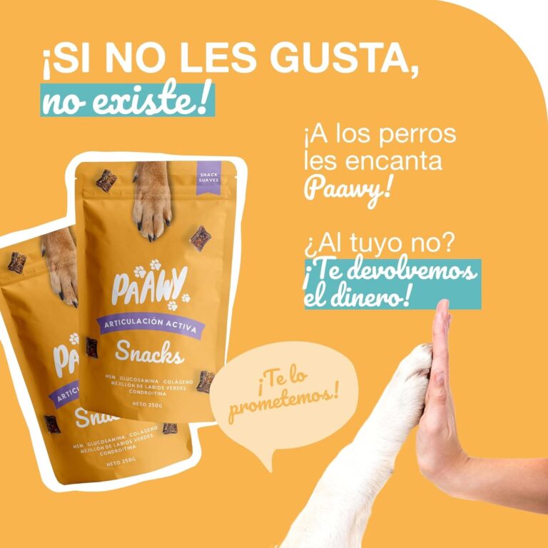 Paawy Condroprotector Perros con Glucosamina, Condroitina, MSM I para Las Articulaciones de Perros I Antiinflamatorio para Perros Artrosis I Joint Care for Dogs I 250g Salmón