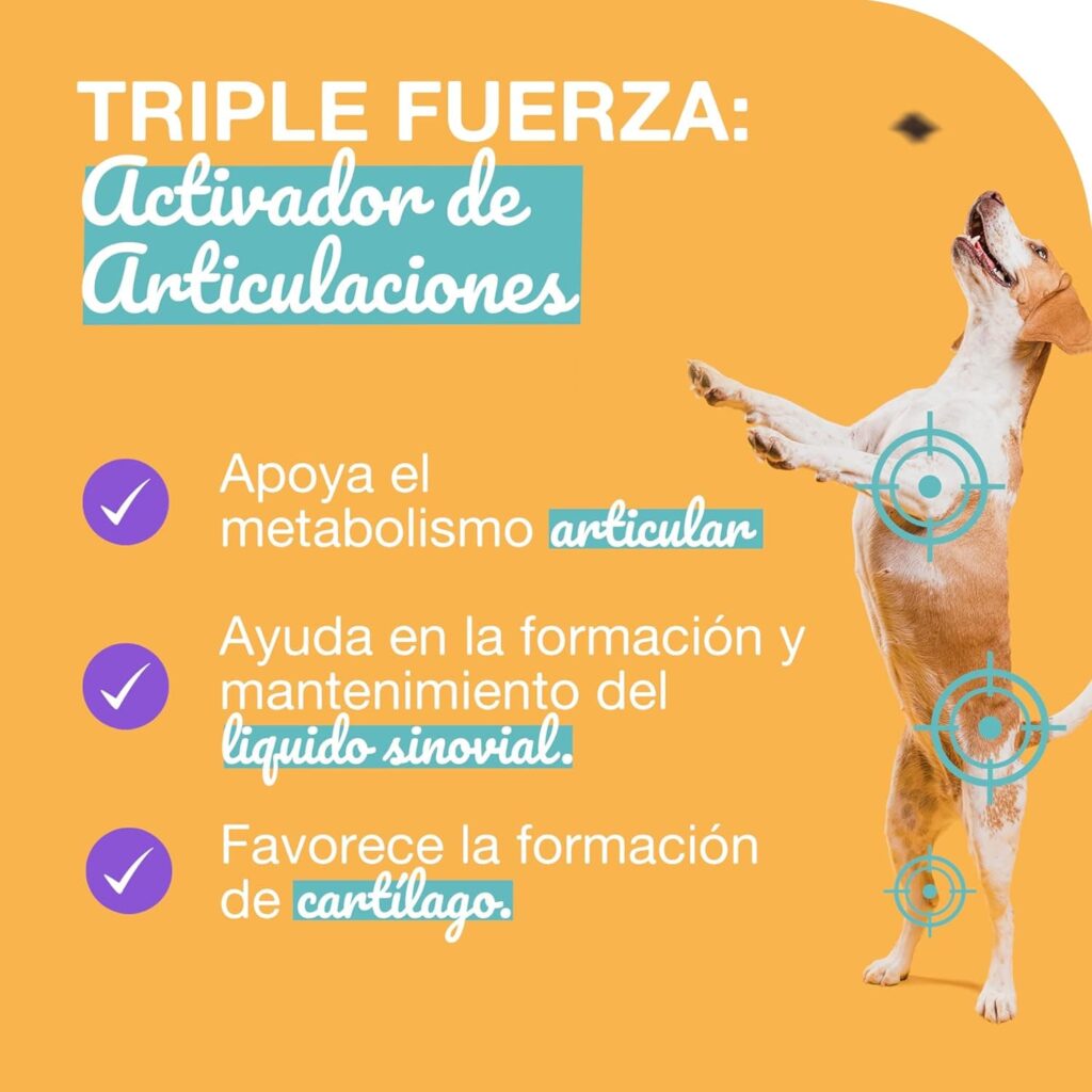 Paawy Condroprotector Perros con Glucosamina, Condroitina, MSM I para Las Articulaciones de Perros I Antiinflamatorio para Perros Artrosis I Joint Care for Dogs I 250g Salmón