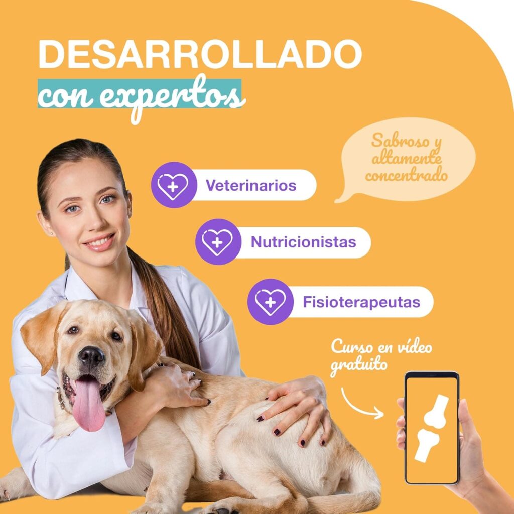 Paawy Condroprotector Perros con Glucosamina, Condroitina, MSM I para Las Articulaciones de Perros I Antiinflamatorio para Perros Artrosis I Joint Care for Dogs I 250g Salmón