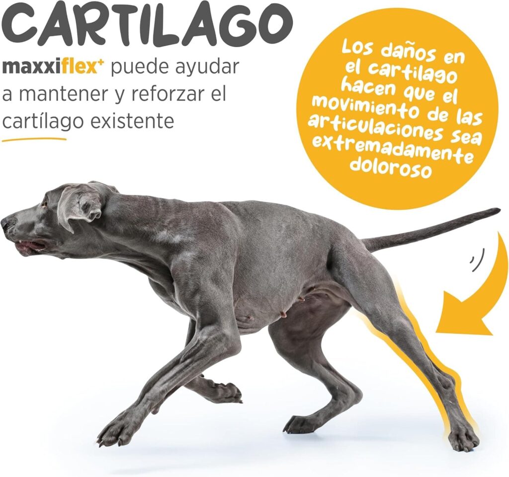 maxxipaws maxxiflex+ Caderas y Articulaciones - Suplemento Condroprotector para Perros Adultos - 120 Comprimidos