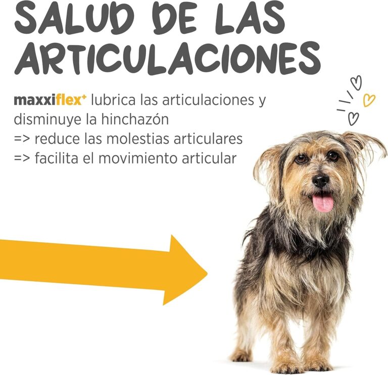 maxxipaws maxxiflex+ Caderas y Articulaciones - Suplemento Condroprotector para Perros Adultos - 120 Comprimidos