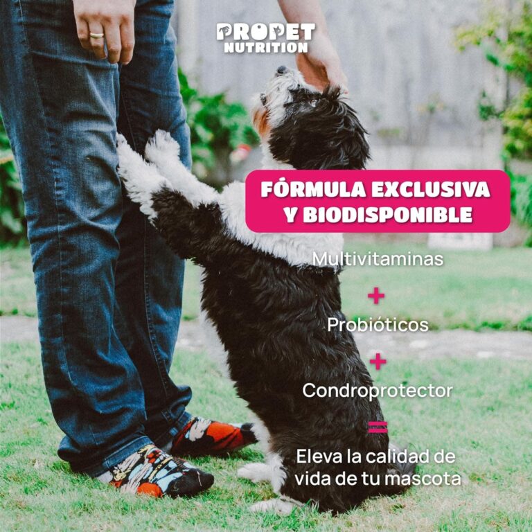 Vitaminas para Perros y Gatos + Probioticos + Glucosamina + Condrotina (20 en 1). Mejora Pelaje, Sistema Inmune y Articulaciones. Vit A, B, C, E, H, Omega 6, Biotina. Alta Concentración. 120 Dosis