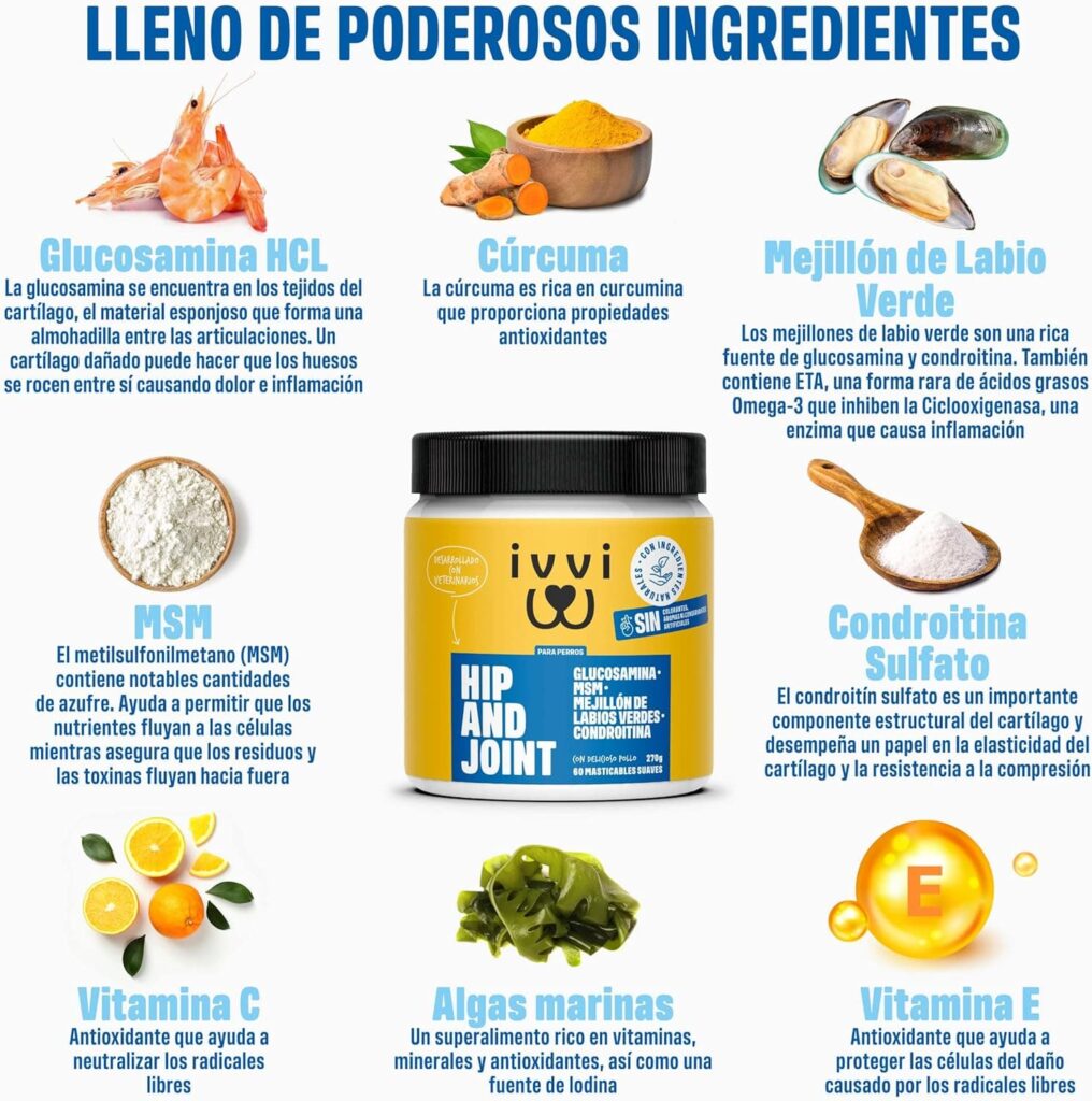 ivvi - Hip and Joint - Articulaciones, Antiartrosis - Complemento Alimenticio para Perros, Altamente Concentrado - MSM, Mejillón de Labio Verde, Glucosamina - 60 Golosinas de Pollo, 270g