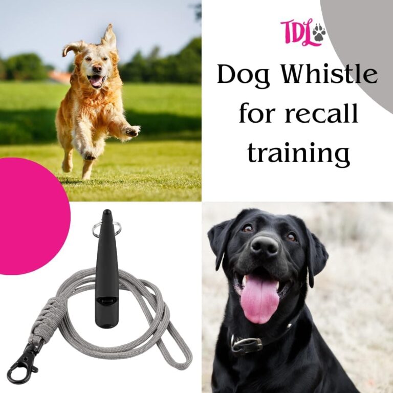 TDL - Silbato de entrenamiento para perros con cordón, silbato para perros con tono fuerte y sólido y sonido de gran alcance