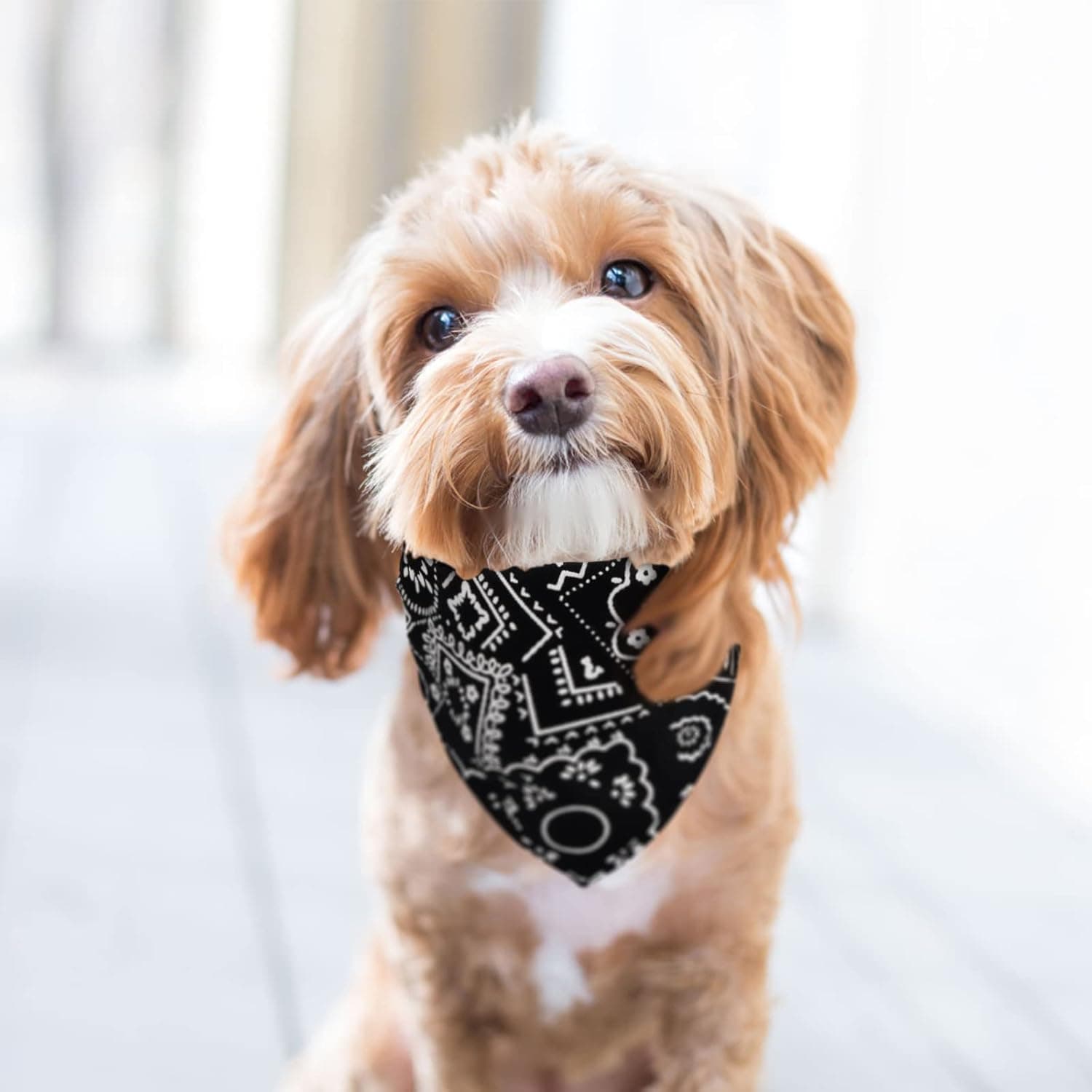 4Pcs Bandanas de Perros,Pañuelos para Perros,Bufanda de Mascota Ajustable