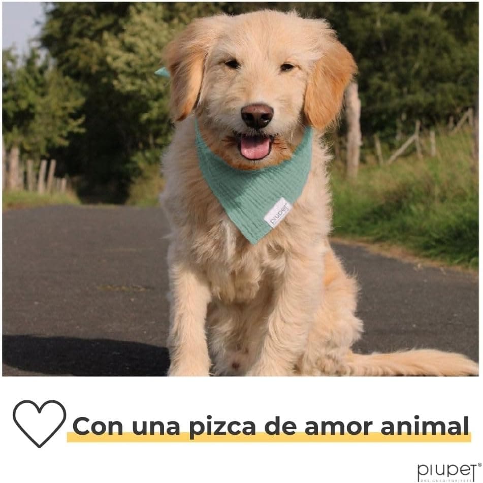 PiuPet® Bandana Perro