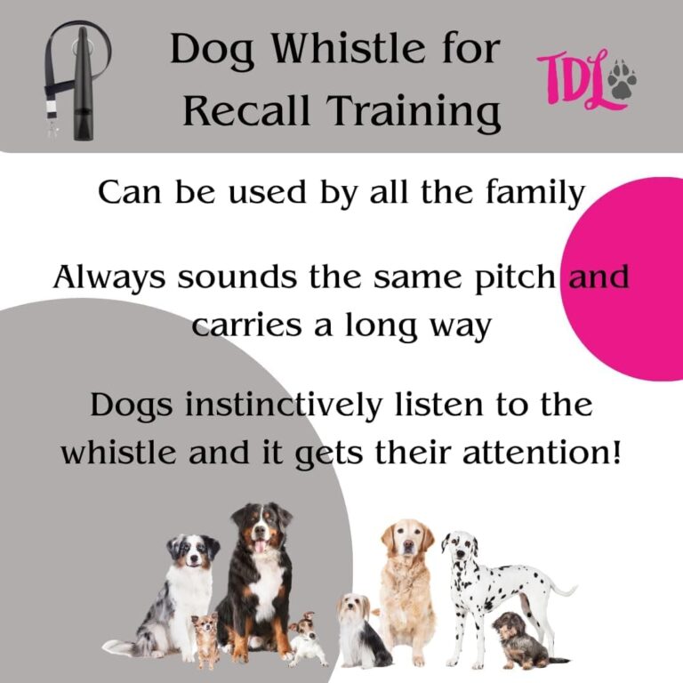 TDL - Silbato de entrenamiento para perros con cordón, silbato para perros con tono fuerte y sólido y sonido de gran alcance