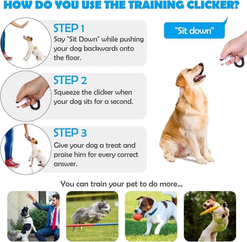 OYEFLY - Juego de 2 clickers para Perros con botón Grande, también para Gatos y Caballos (Rojo y Azul)