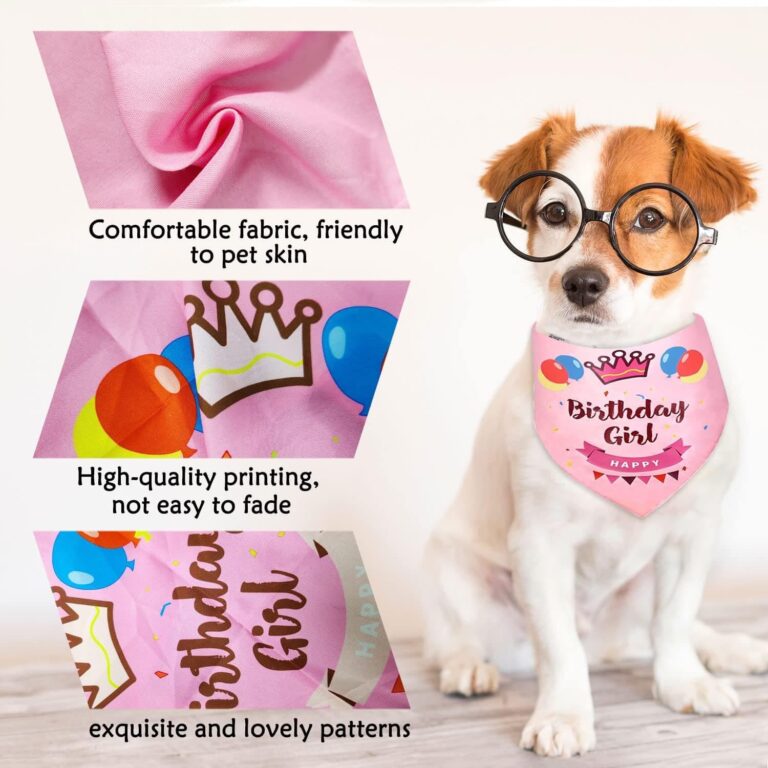 Bandana de cumpleaños para Perro, Bandana para Perro para cumpleaños, triángulo