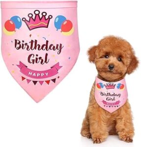 Bandana de cumpleaños para Perro, Bandana para Perro para cumpleaños, triángulo