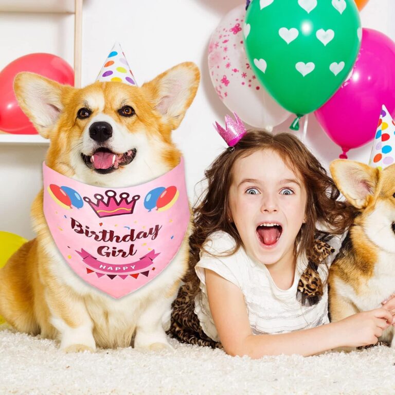 Bandana de cumpleaños para Perro, Bandana para Perro para cumpleaños, triángulo