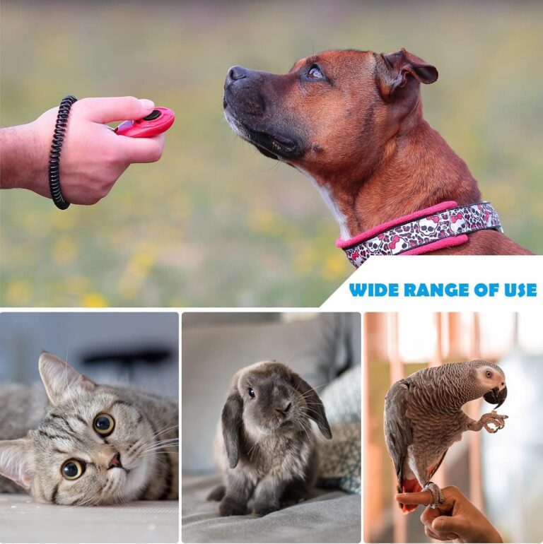 OYEFLY - Juego de 2 clickers para Perros con botón Grande, también para Gatos y Caballos (Rojo y Azul)