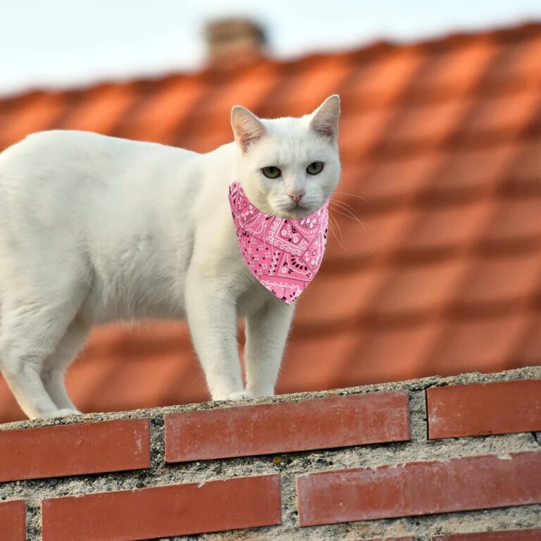 4Pcs Bandanas de Perros,Pañuelos para Perros,Bufanda de Mascota Ajustable