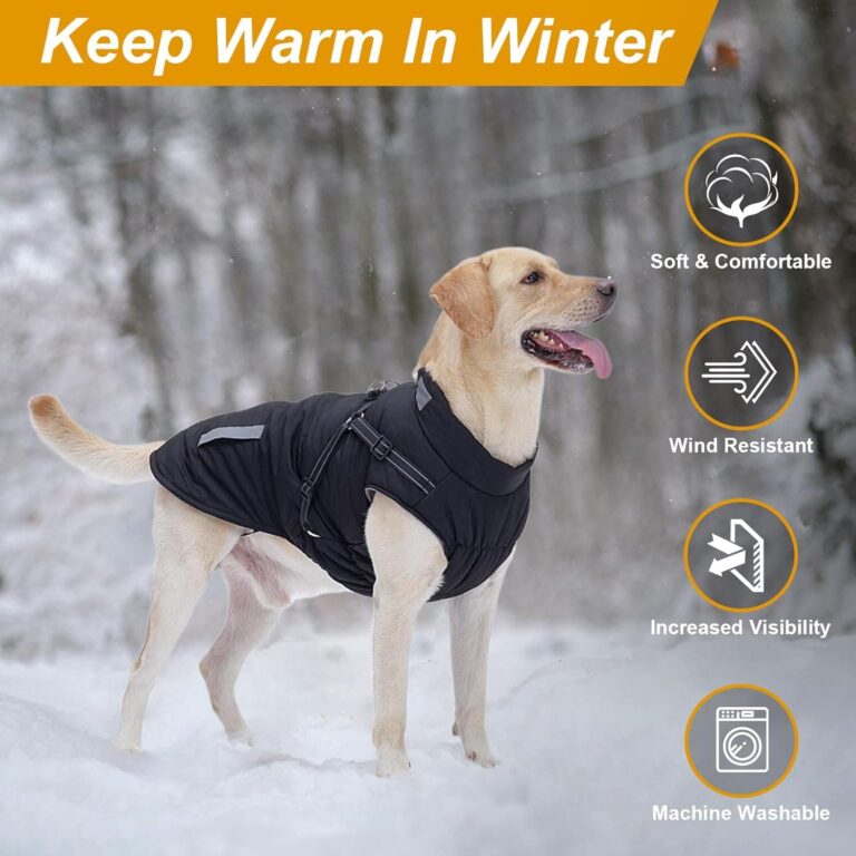 Abrigo Invierno Perro, Abrigo Impermeable para Perros Resistente al Viento