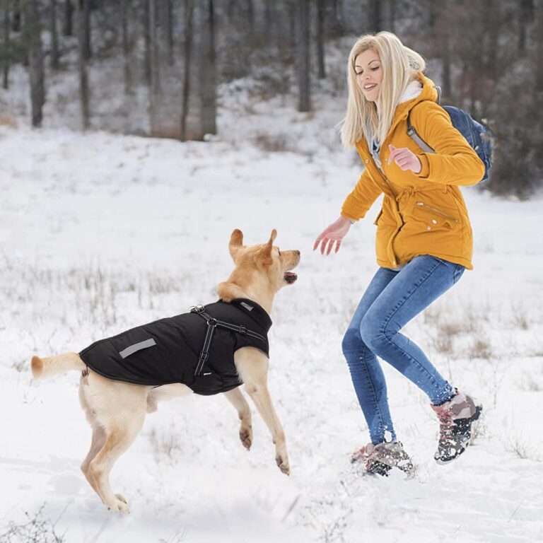 Abrigo Invierno Perro, Abrigo Impermeable para Perros Resistente al Viento
