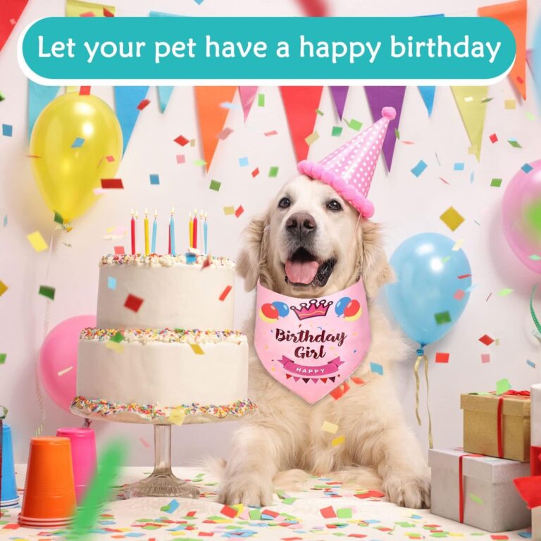 Bandana de cumpleaños para Perro, Bandana para Perro para cumpleaños, triángulo