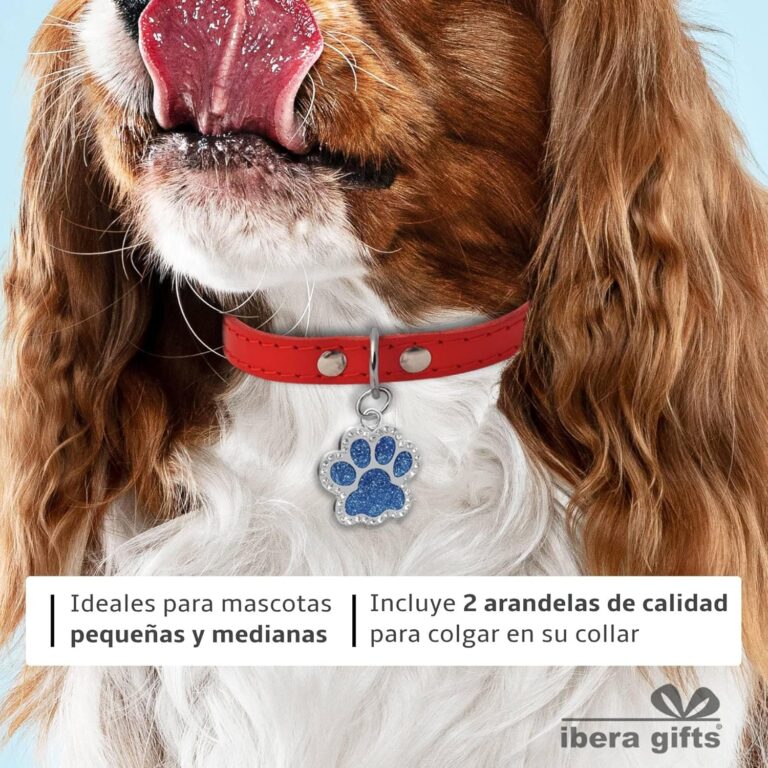 Ibera Gifts - Chapa Perro Grabada en Forma de Pata con Purpurina, Placa Perro Personalizada