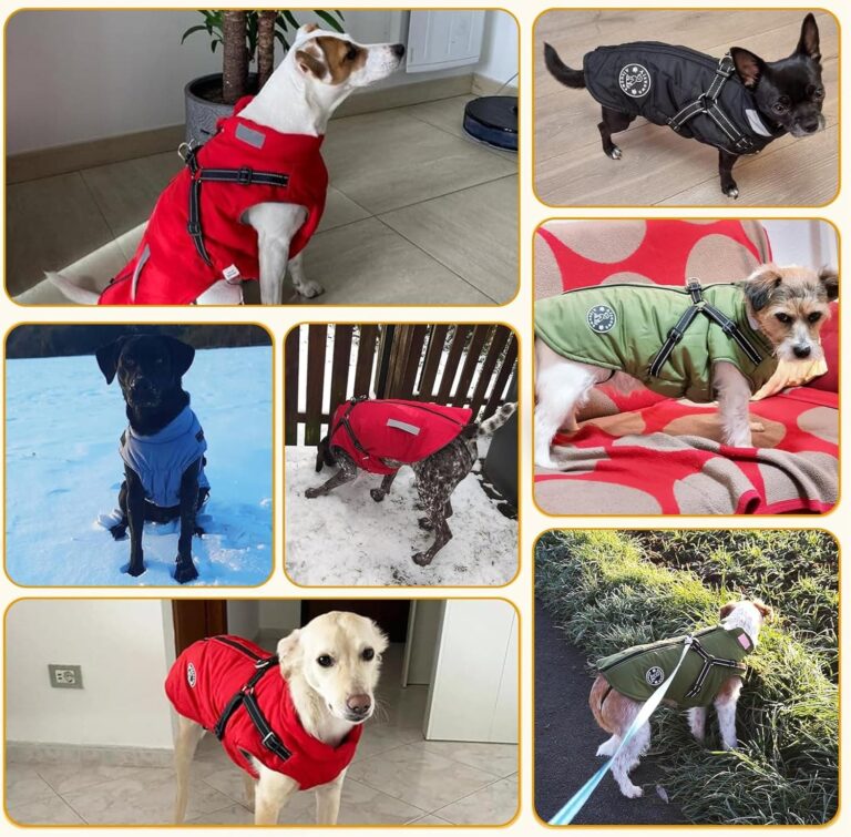 Abrigo Invierno Perro, Abrigo Impermeable para Perros Resistente al Viento